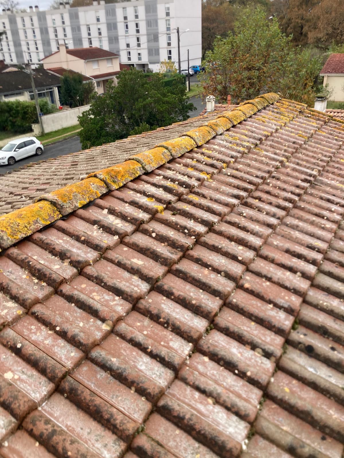 NETTOYAGE AVANT PESSAC